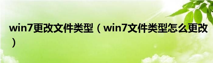 win7更改文件类型（win7文件类型怎么更改）