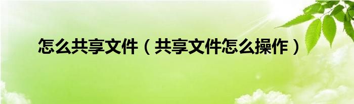 怎么共享文件（共享文件怎么操作）