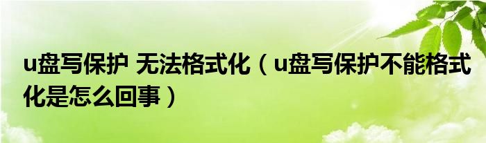 u盘写保护 无法格式化（u盘写保护不能格式化是怎么回事）