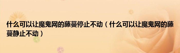 什么可以让魔鬼网的藤蔓停止不动（什么可以让魔鬼网的藤蔓静止不动）