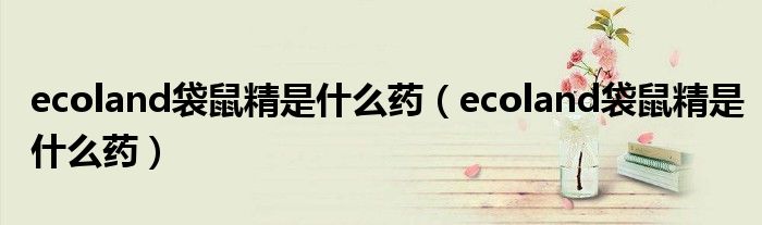 ecoland袋鼠精是什么药（ecoland袋鼠精是什么药）