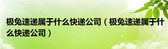 极兔速递属于什么快递公司（极兔速递属于什么快递公司）