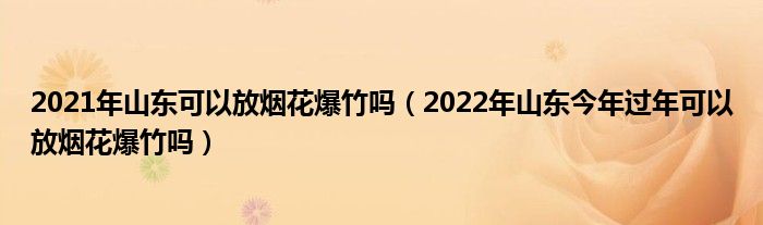 2021年山东可以放烟花爆竹吗（2022年山东今年过年可以放烟花爆竹吗）