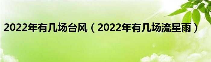 2022年有几场台风（2022年有几场流星雨）