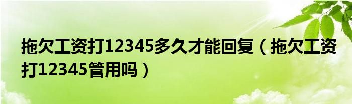 拖欠工资打12345多久才能回复（拖欠工资打12345管用吗）