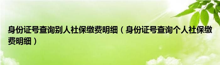 身份证号查询别人社保缴费明细（身份证号查询个人社保缴费明细）