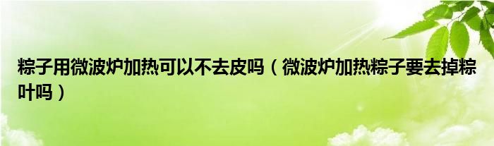 粽子用微波炉加热可以不去皮吗（微波炉加热粽子要去掉粽叶吗）