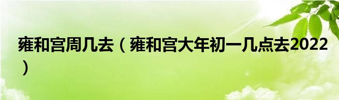 雍和宫周几去（雍和宫大年初一几点去2022）