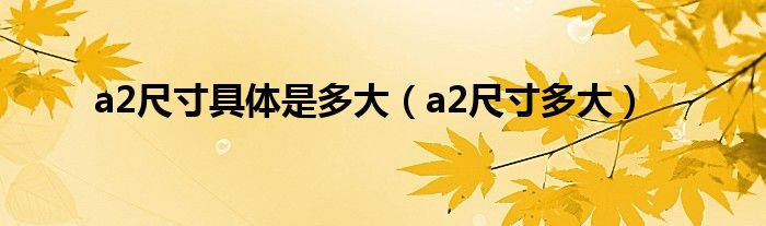 a2尺寸具体是多大（a2尺寸多大）