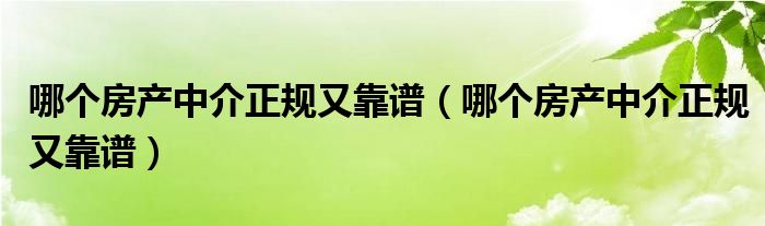 哪个房产中介正规又靠谱（哪个房产中介正规又靠谱）