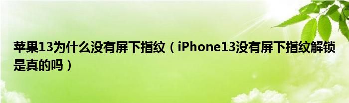 苹果13为什么没有屏下指纹（iPhone13没有屏下指纹解锁是真的吗）