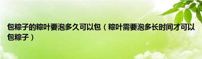 包粽子的粽叶要泡多久可以包（粽叶需要泡多长时间才可以包粽子）