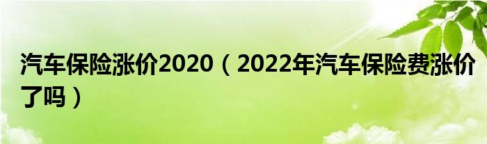 汽车保险涨价2020（2022年汽车保险费涨价了吗）