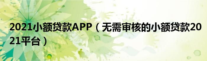 2021小额贷款APP（无需审核的小额贷款2021平台）