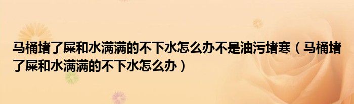 马桶堵了屎和水满满的不下水怎么办不是油污堵寒（马桶堵了屎和水满满的不下水怎么办）