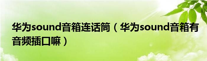 华为sound音箱连话筒（华为sound音箱有音频插口嘛）