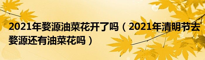 2021年婺源油菜花开了吗（2021年清明节去婺源还有油菜花吗）