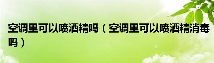 空调里可以喷酒精吗（空调里可以喷酒精消毒吗）