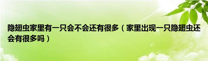 隐翅虫家里有一只会不会还有很多（家里出现一只隐翅虫还会有很多吗）