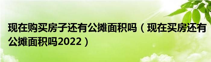 现在购买房子还有公摊面积吗（现在买房还有公摊面积吗2022）