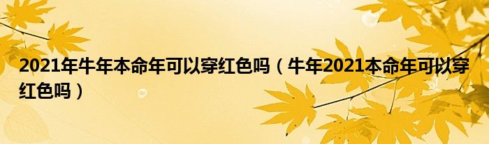 2021年牛年本命年可以穿红色吗（牛年2021本命年可以穿红色吗）