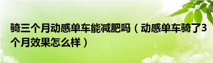 骑三个月动感单车能减肥吗（动感单车骑了3个月效果怎么样）