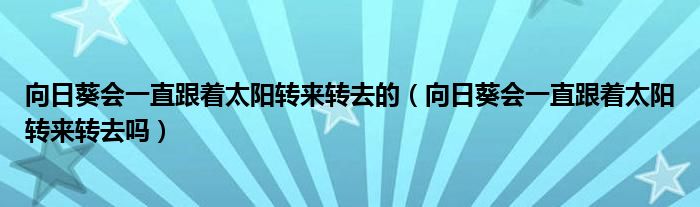 向日葵会一直跟着太阳转来转去的（向日葵会一直跟着太阳转来转去吗）