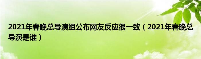 2021年春晚总导演组公布网友反应很一致（2021年春晚总导演是谁）