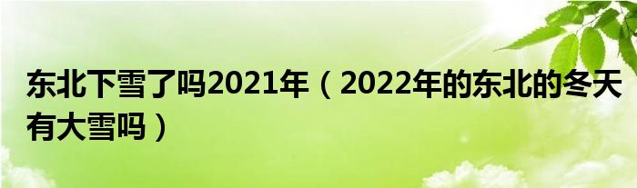 东北下雪了吗2021年（2022年的东北的冬天有大雪吗）