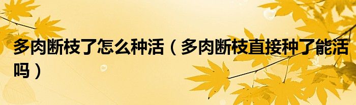 多肉断枝了怎么种活（多肉断枝直接种了能活吗）