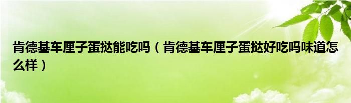 肯德基车厘子蛋挞能吃吗（肯德基车厘子蛋挞好吃吗味道怎么样）