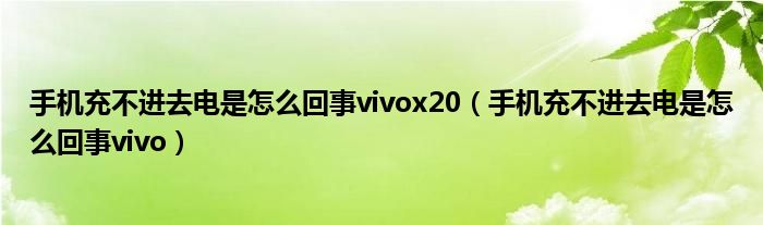 手机充不进去电是怎么回事vivox20（手机充不进去电是怎么回事vivo）