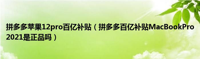 拼多多苹果12pro百亿补贴（拼多多百亿补贴MacBookPro2021是正品吗）