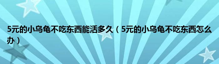 5元的小乌龟不吃东西能活多久（5元的小乌龟不吃东西怎么办）