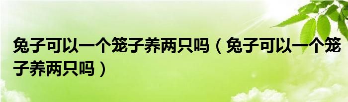 兔子可以一个笼子养两只吗（兔子可以一个笼子养两只吗）