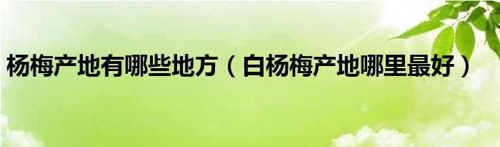 杨梅产地有哪些地方（白杨梅产地哪里最好）