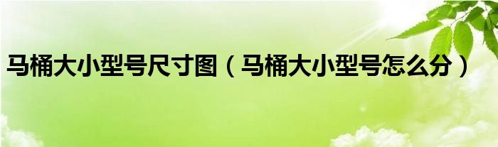 马桶大小型号尺寸图（马桶大小型号怎么分）