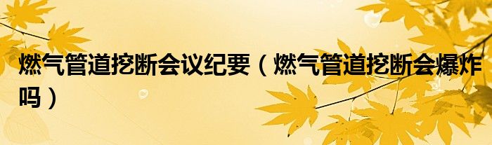 燃气管道挖断会议纪要（燃气管道挖断会爆炸吗）