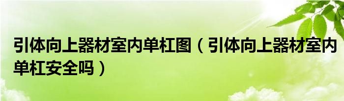 引体向上器材室内单杠图（引体向上器材室内单杠安全吗）