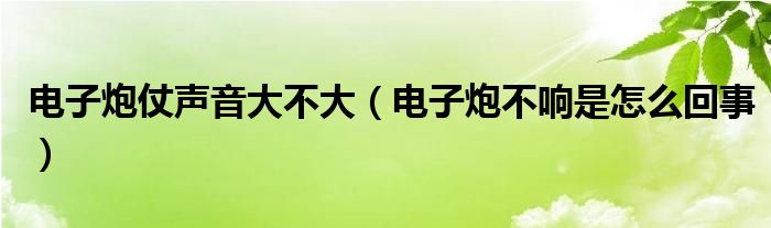 电子炮仗声音大不大（电子炮不响是怎么回事）