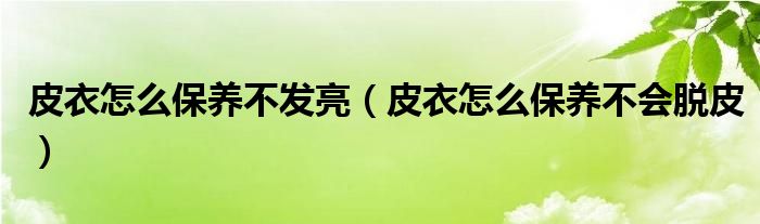 皮衣怎么保养不发亮（皮衣怎么保养不会脱皮）