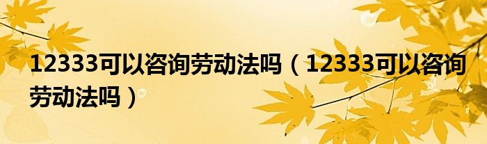 12333可以咨询劳动法吗（12333可以咨询劳动法吗）