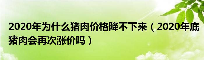 2020年为什么猪肉价格降不下来（2020年底猪肉会再次涨价吗）