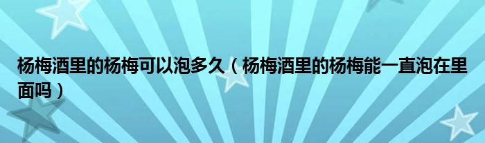 杨梅酒里的杨梅可以泡多久（杨梅酒里的杨梅能一直泡在里面吗）