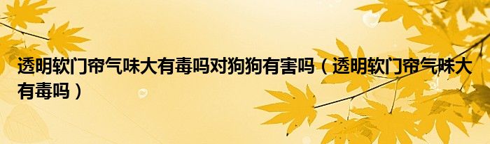 透明软门帘气味大有毒吗对狗狗有害吗（透明软门帘气味大有毒吗）