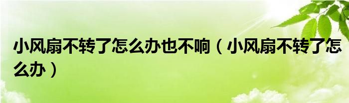 小风扇不转了怎么办也不响（小风扇不转了怎么办）