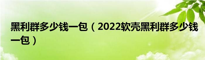 黑利群多少钱一包（2022软壳黑利群多少钱一包）