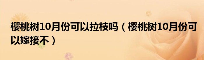 樱桃树10月份可以拉枝吗（樱桃树10月份可以嫁接不）