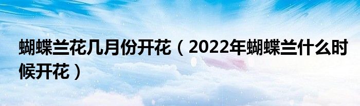 蝴蝶兰花几月份开花（2022年蝴蝶兰什么时候开花）