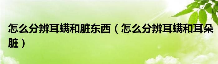 怎么分辨耳螨和脏东西（怎么分辨耳螨和耳朵脏）